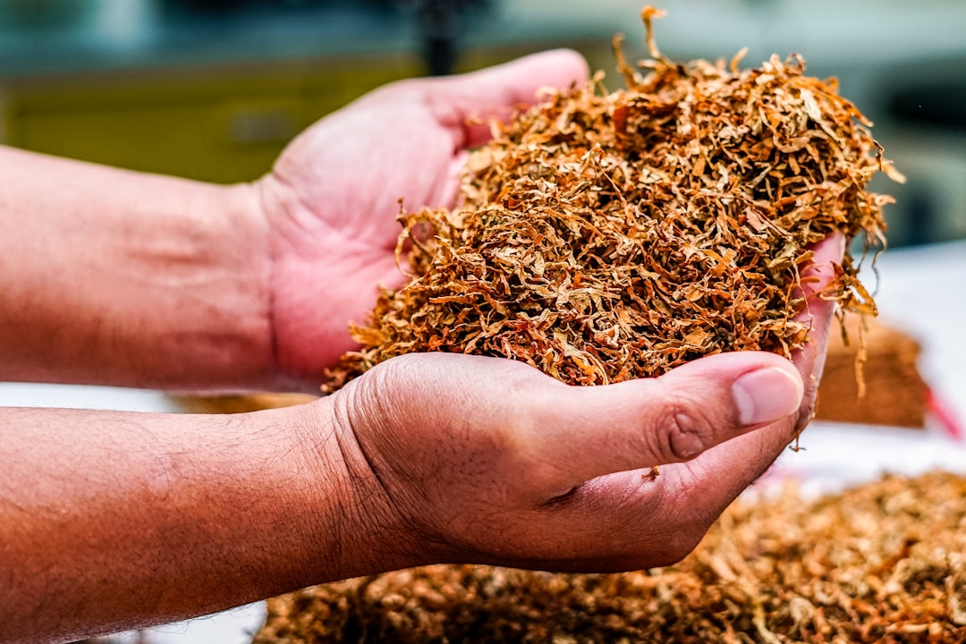 Photo Tobacco leaves